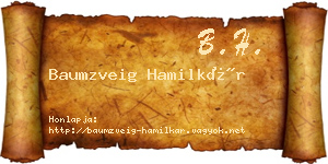 Baumzveig Hamilkár névjegykártya